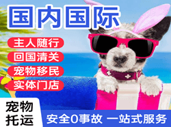 张掖甘州机场邮寄国际宠物托运 【国